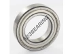6009-ZZ-C3-SKF
