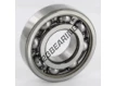 6307-C4-SKF