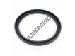 OAS-145X175X13-NBR