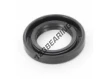 OAS-21X35X6-NBR
