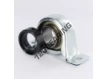 SAPP207